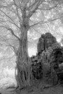 Angkor Cambodia